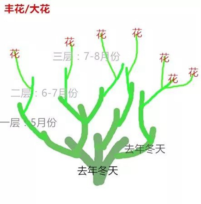 秋季修剪簡(jiǎn)單的方法來(lái)啦