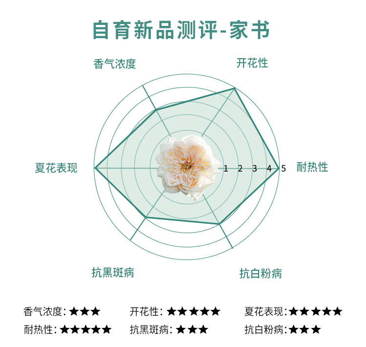 家書(又名翻譯家)