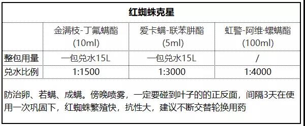 月季病蟲(chóng)害防治與用藥大全