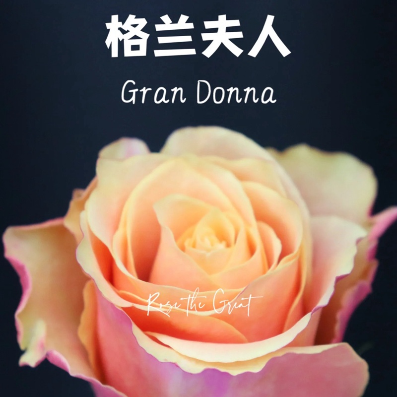 格蘭夫人Gran Donna