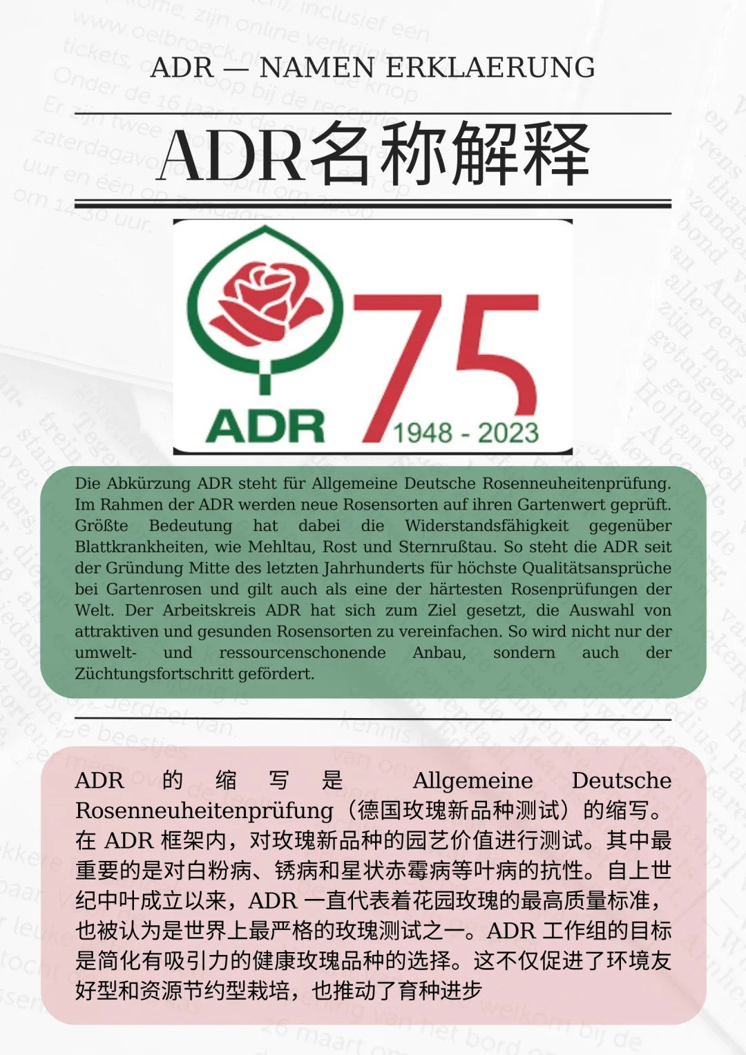 什么是ADR認(rèn)證，ADR月季官網(wǎng)名單