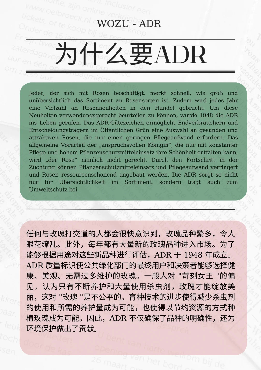 什么是ADR認(rèn)證，ADR月季官網(wǎng)名單